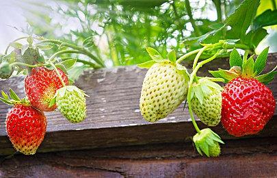 任天堂欧服eShop开启新年折扣 多款大作参与活动